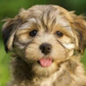 Meet your Posher, Makayla